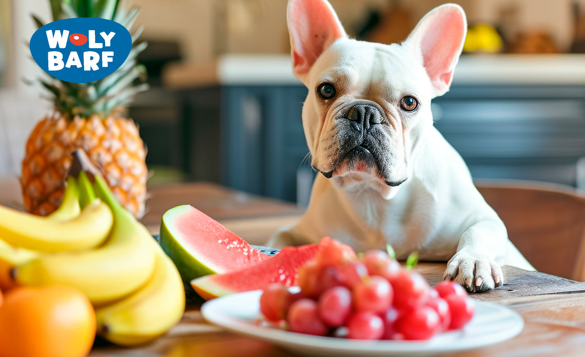 ¿Qué frutas pueden comer los perros?