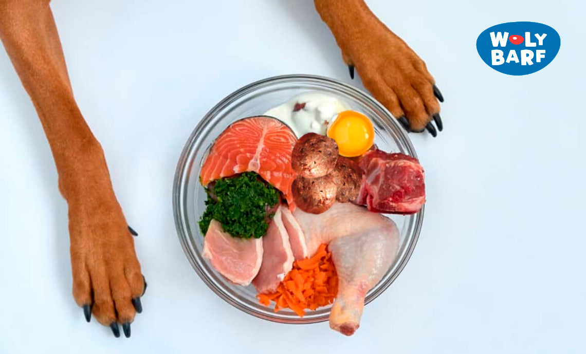 ¿Por qué BARF? – Dieta cruda