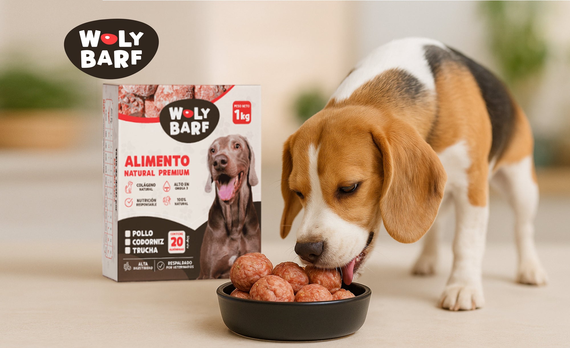 Comida natural a base de pollo? Aquí te contamos todo lo que tienes que saber de Woly Pollo