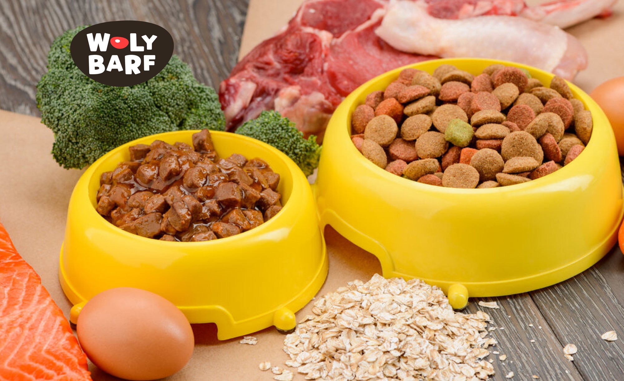 Cómo hacer la transición de croquetas a dieta BARF sin riesgos