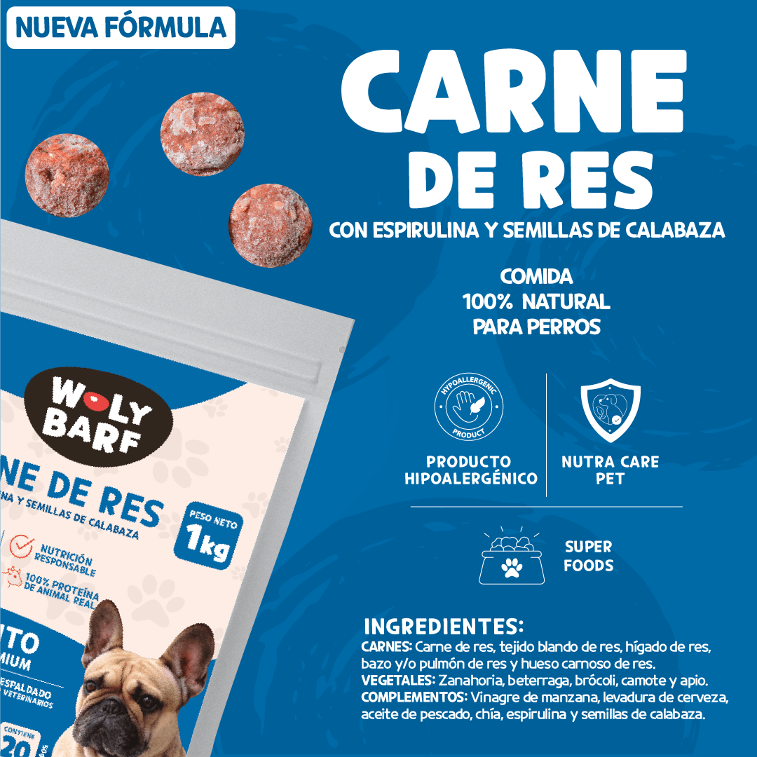 Woly Carne de Res 1KG (20 Albóndigas)
