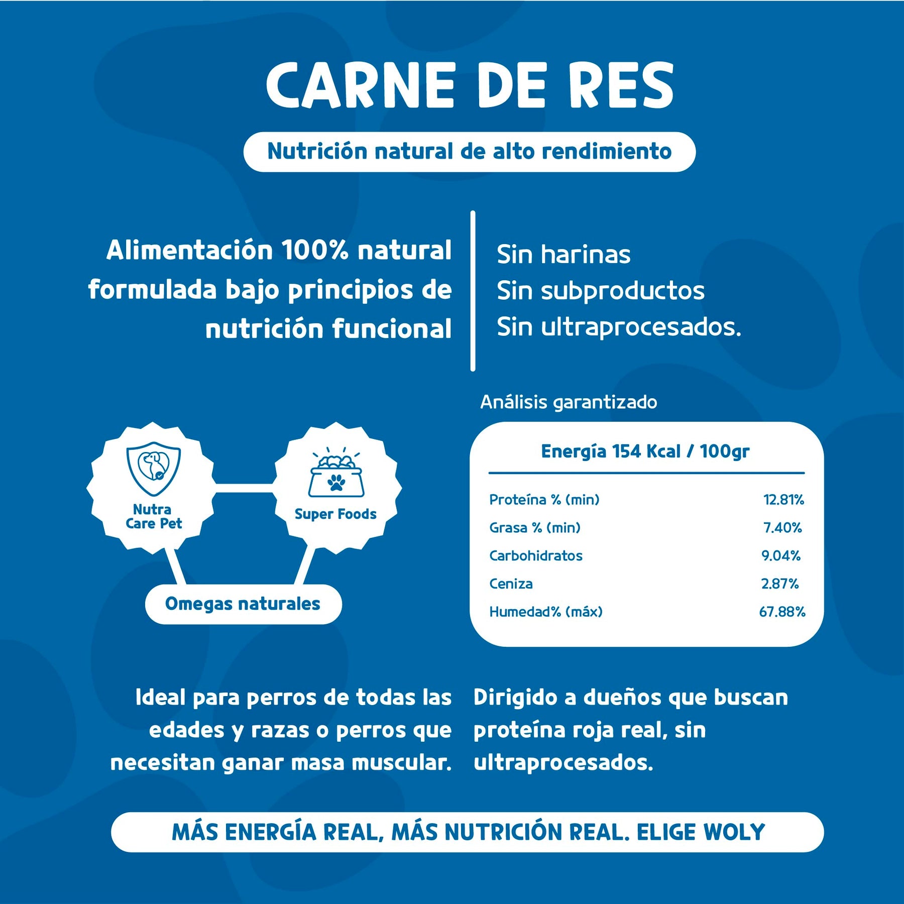 Woly Carne de Res 1KG (20 Albóndigas)