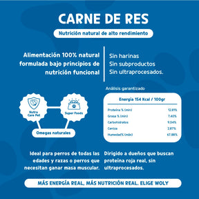Woly Carne de Res 1KG (20 Albóndigas)