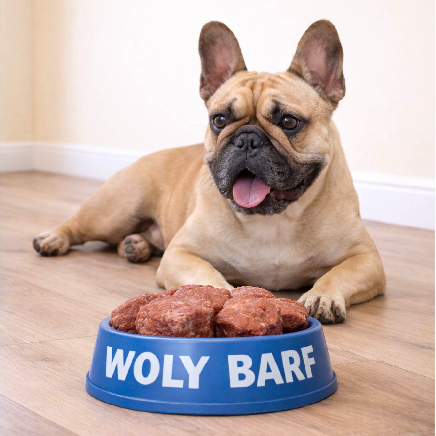 Woly Carne de Res 1KG (20 Albóndigas)