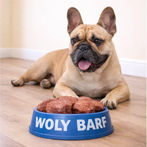 Woly Carne de Res 1KG (20 Albóndigas)