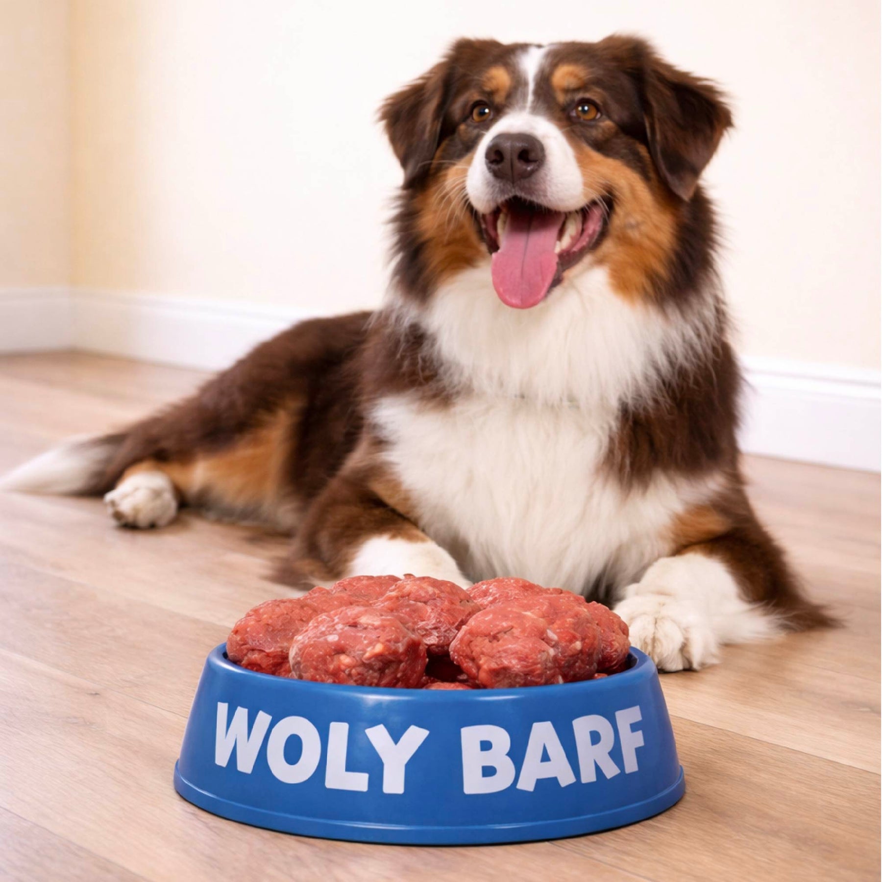 Pack Promo Pollo 5 KG + Bolsa de patas deshidratas GRATIS
