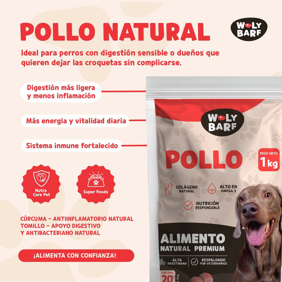 Woly Pollo 1KG (20 albóndigas)