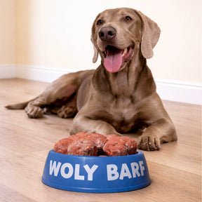 Woly Pollo 1KG (20 albóndigas)